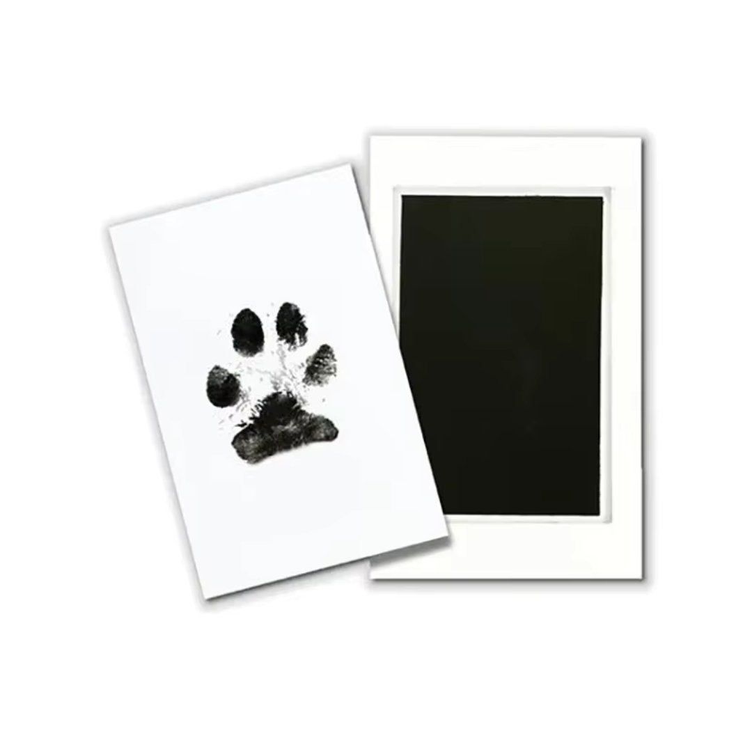 naviclass™ Pfoten Abdruckset 🐾